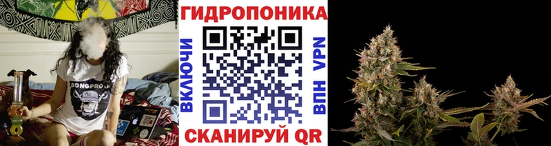 blacksprut ONION  Красавино  Шишки марихуана план 